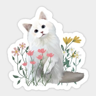 White Kitten Sticker